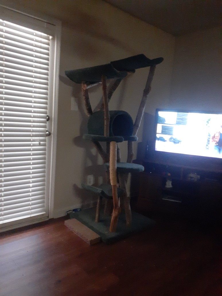 Tall Cat Tree