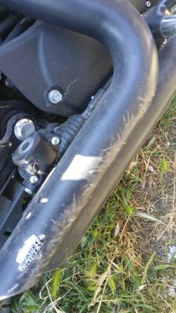 Harley Davidson Sportster 883 Vance and Hines short shots