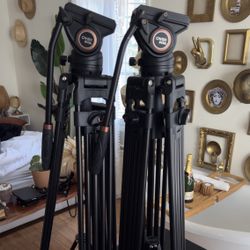 2x Tripod Perfect Conditions With The Case Plus Extra Head Fluid 
