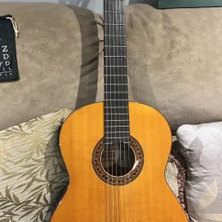 Acoustic Classic Guitar Alvarez