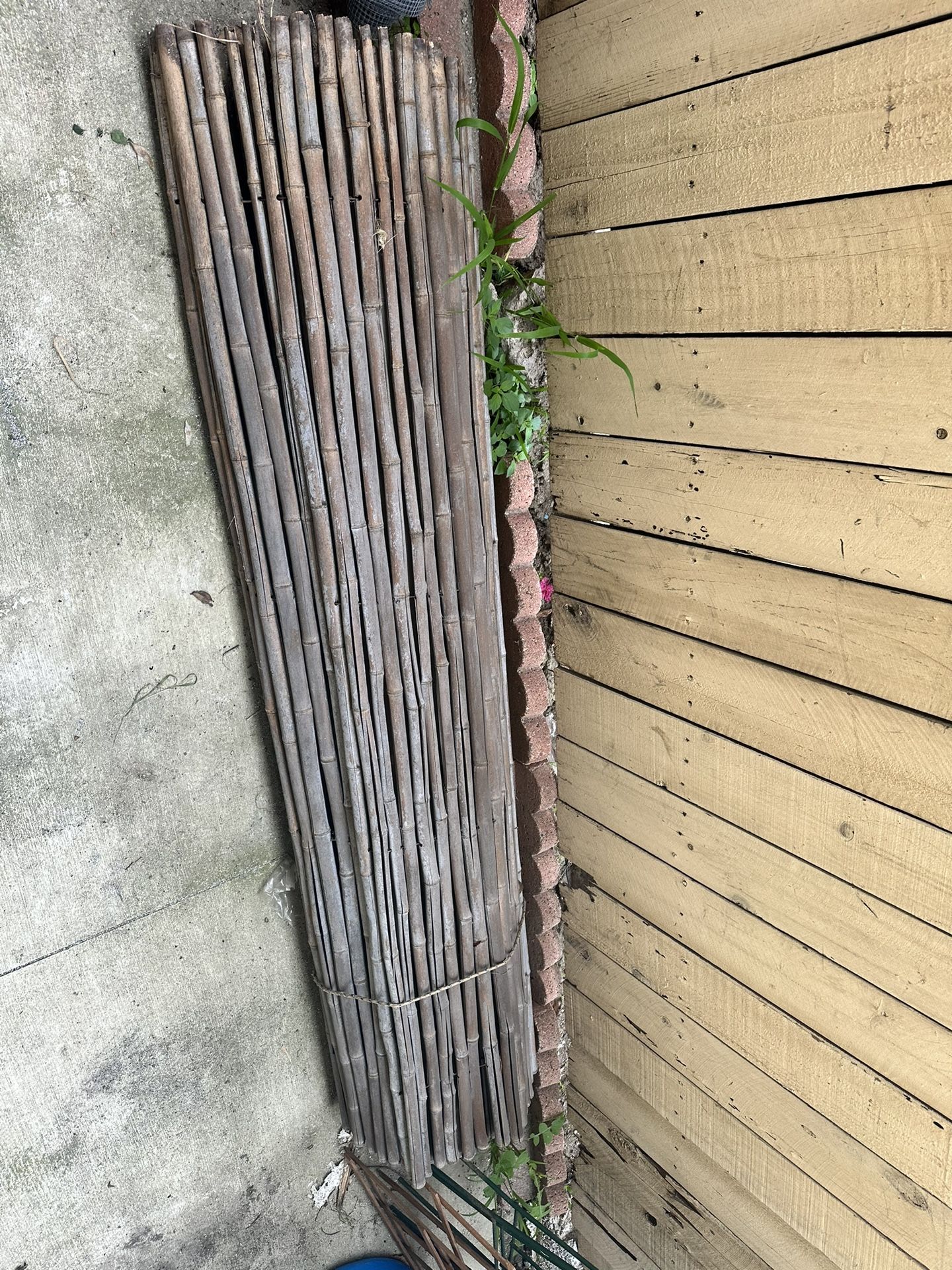 Bamboo Fence