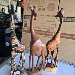 Giraffes 