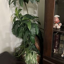 Beautiful Fake Plant 