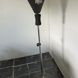 Everest Punching Bag 