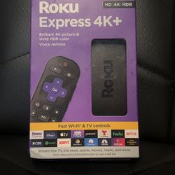 Roku Streaming Device