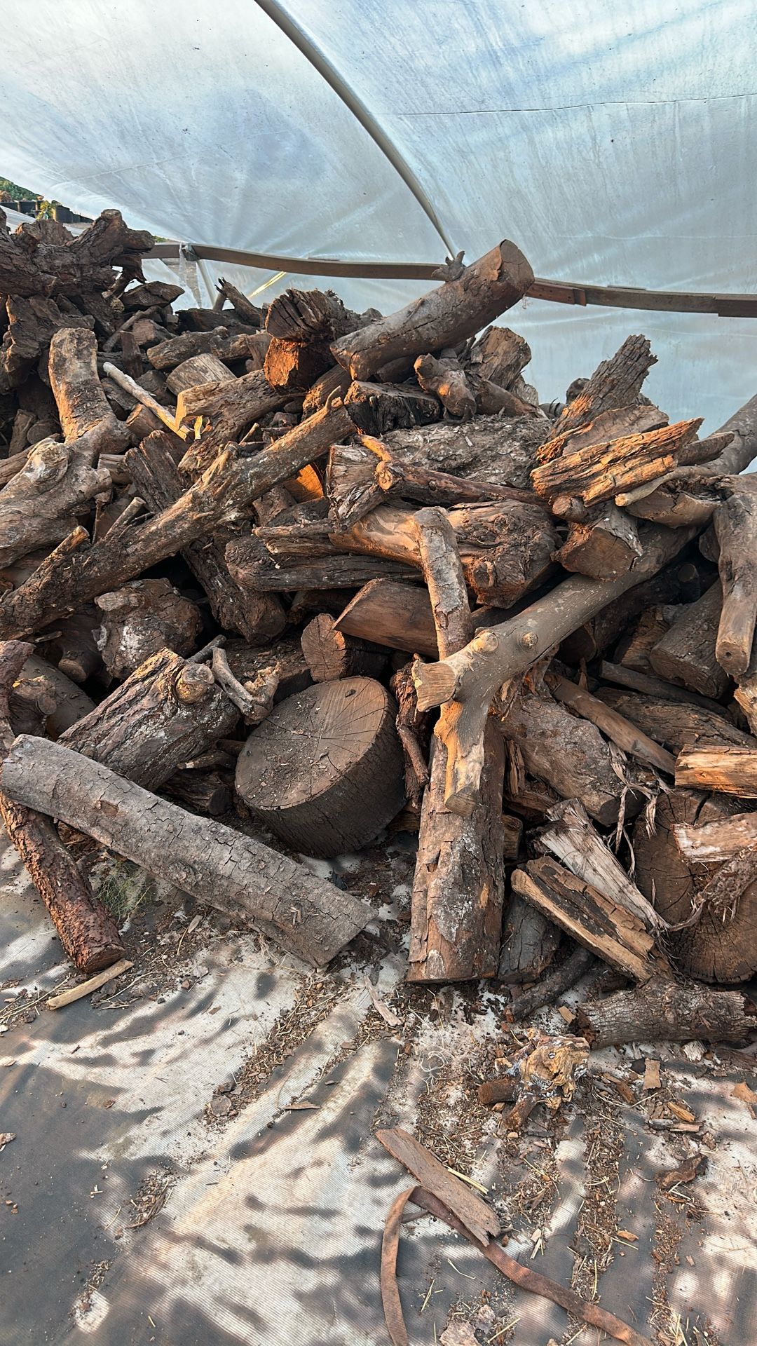 Firewood