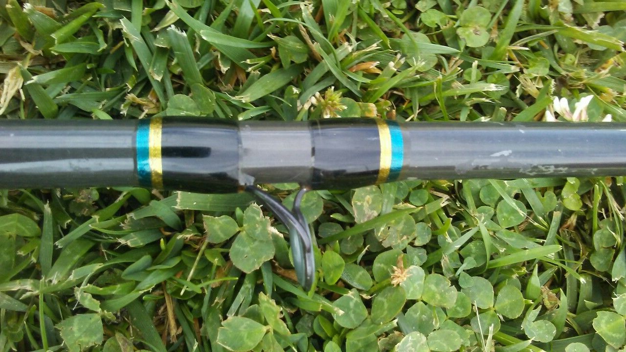 Shimano Calcutta Fishing Rod