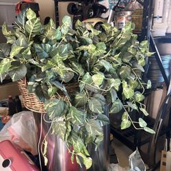 Large Fake Plant