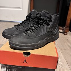 Jordan 12s