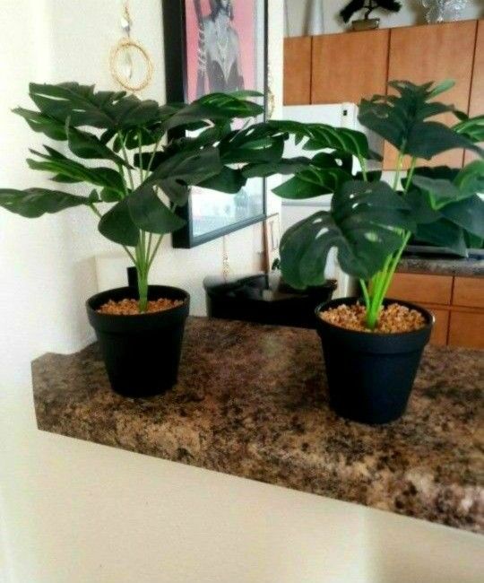 Two fake plants