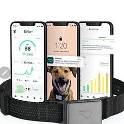 Switch GPS + Health + Fitness Smart Dog Collar, 24/7 Dog GPS Tracker plus Dog He