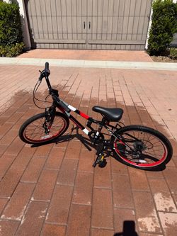 Guardian 20in Large Bike with shifters