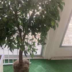 Four foot decorative tree