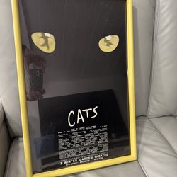 Original 1981 Cats Musical Winter Garden Theater poster Framed 23x15 Small scratch top front hardly noticeable.