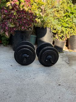 Pair of Adjustable Dumbbells - 60 lbs Total (30 lbs each)