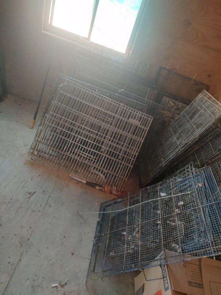 4 By 4 Cages