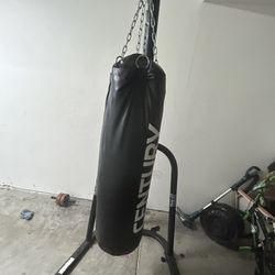 Century 100lb boxing bag with stand