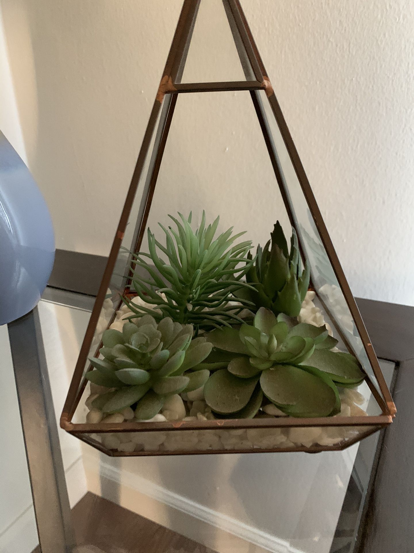 Geometric Plant with Succulents (FAKE)