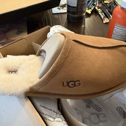 Ugg Slippers Men’s