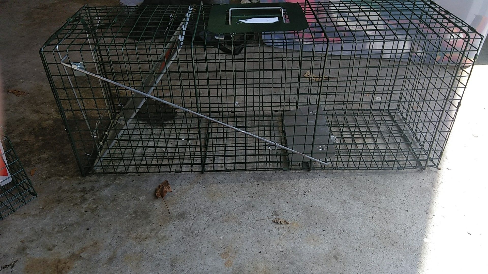 Cat trap catch and release