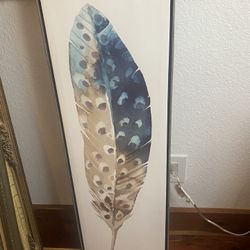 Canvas Feather Picture