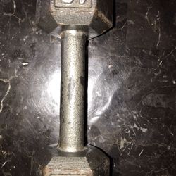 10lb Dumbbell