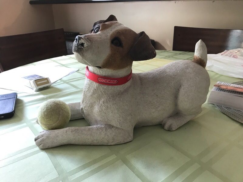 Jack Russell