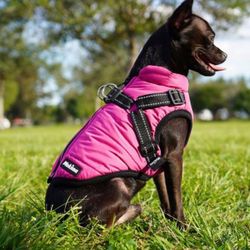 Winter Jackets For Small Dogs 