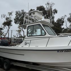 C-Hawk 22’