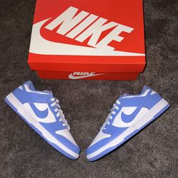 Nike Dunk Low “Polar Blue” 🥶