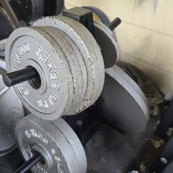 Weight Olympic Plates 