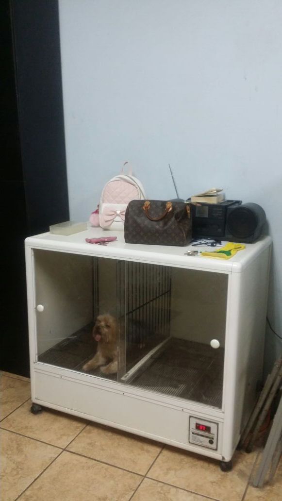 Dog Grooming Kennelgate Grooming Dog Grooming Dryer