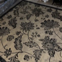 Beautiful, indoor outdoor area rug