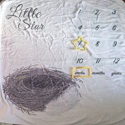 Baby Milestone Blanket -in Box 