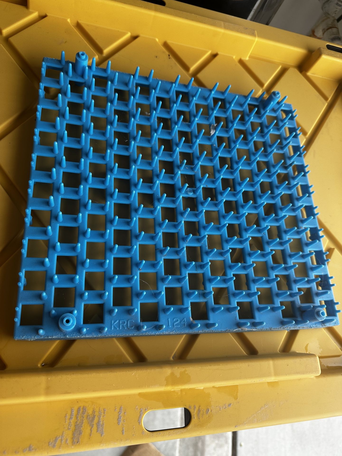 Quail Egg Rack Set 10