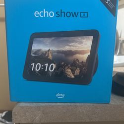 Alexa Echo 8