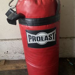 Punching Bag (hangable) 