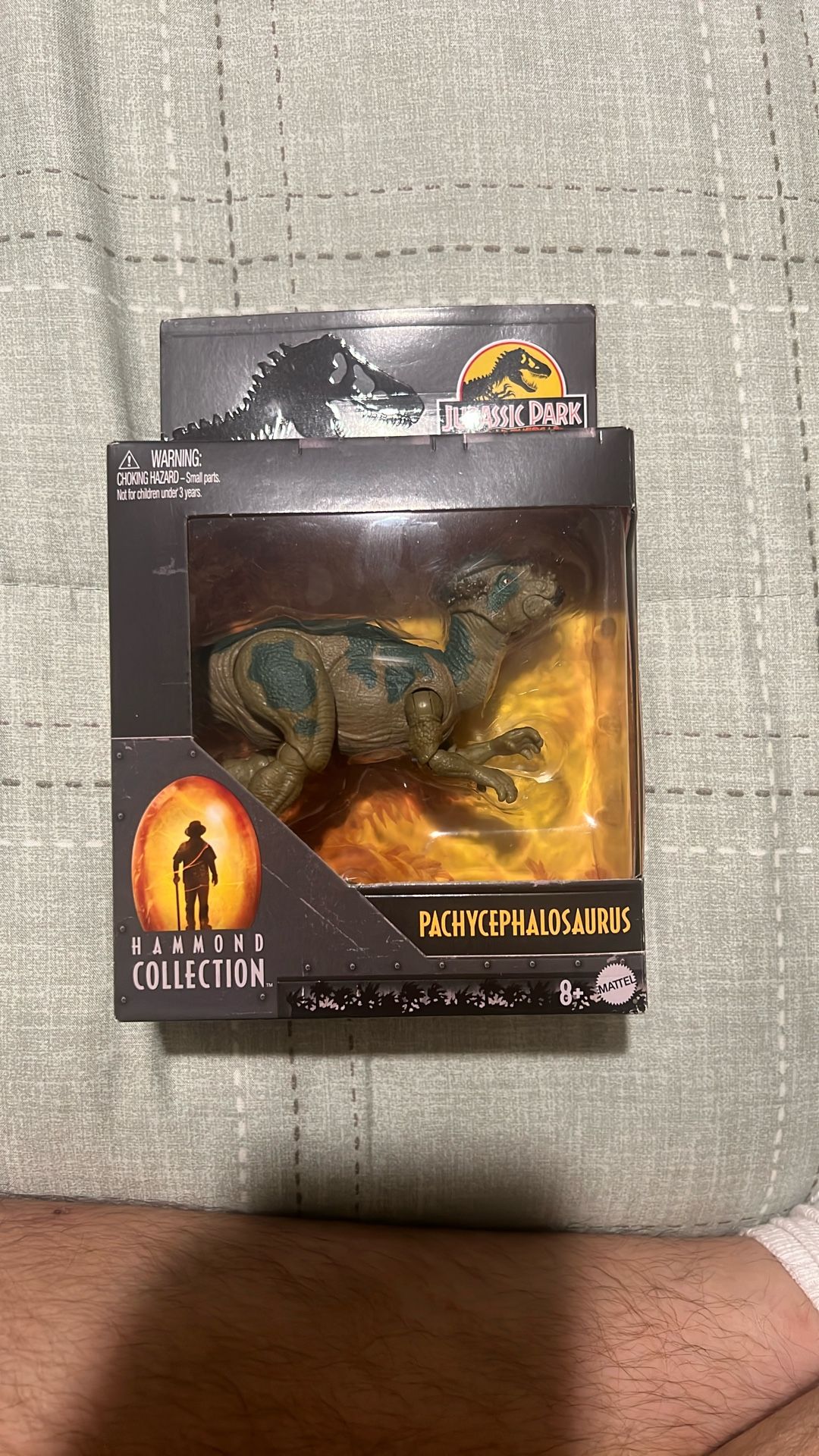 Hammond Collection Pachycephalosaurus