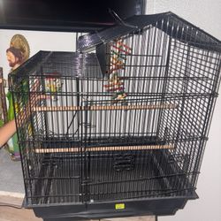 Bird Cage