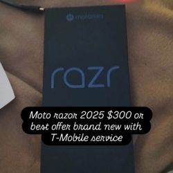 Moto Razor 2025