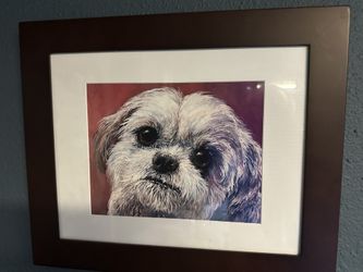 Shih Tzu Framed Print