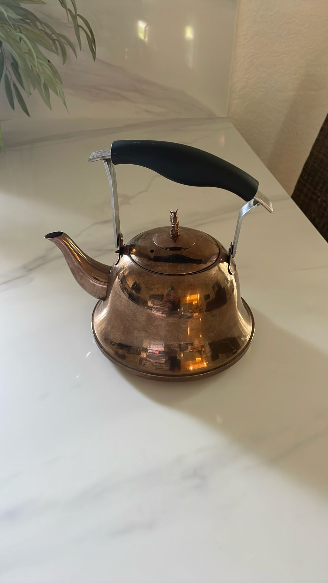 Tea kettle