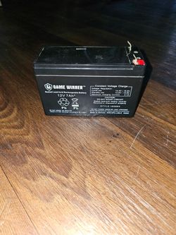 Game Winner 12V Battery
