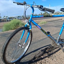 1988 twin Sierra bike. Swing