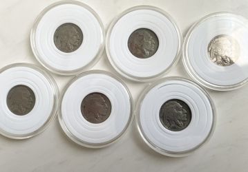 Buffalo Nickel Collection 