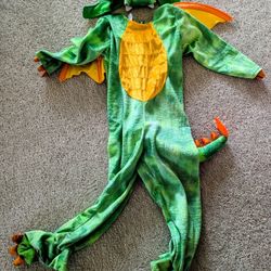 Dragon Costume 