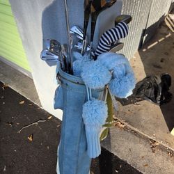 Vintage Golf Clubs Set With Blue Bag Everything Sticks 