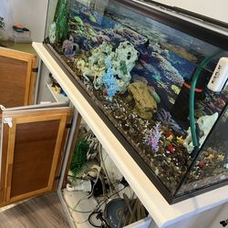 Fish Tank Kit