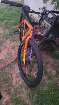 Throne 29er