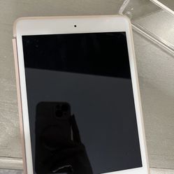 iPad Mini With Case 